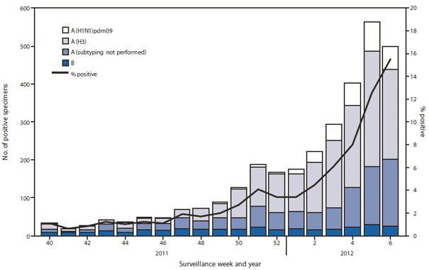 The figure shows the number and percentage of respiratory specimens testing positive for influenza, by type, surveillance week, and year in the United States during 2011-2012, according to the World Health Organization and National Respiratory and Enteric Virus Surveillance System collaborating laboratories. During October 2, 2011-February 11, 2012, approximately 140 World Health Organization and National Respiratory and Enteric Virus Surveillance System collaborating laboratories in the United States tested 78,783 respiratory specimens for influenza viruses; 3,120 (4%) were positive for influenza. Of these, 2,807 (90%) were influenza A viruses, and 313 (10%) were influenza B viruses. A total of 1,934 (69%) of the influenza A viruses were subtyped; 1,624 (84%) were influenza A (H3N2) viruses, and 310 (16%) were influenza A (H1N1)pdm09 viruses.